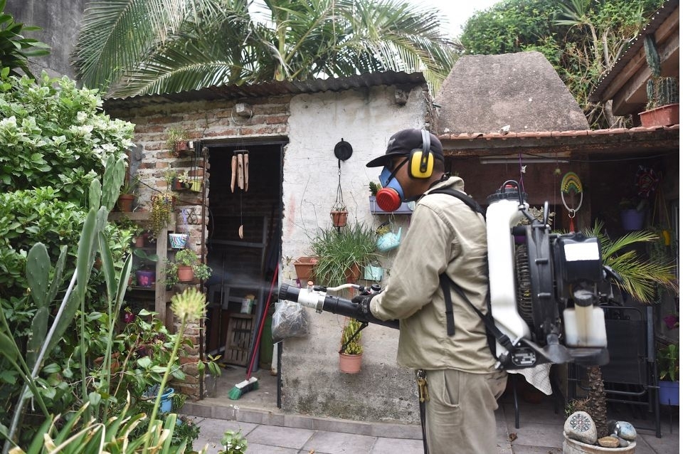 Dengue en la ciudad: harán una fumigación especial en barrio Coronel ...